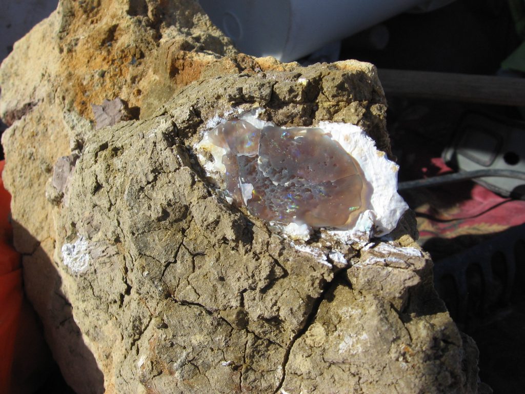 Tea Opal core Virgin Valley Nevada