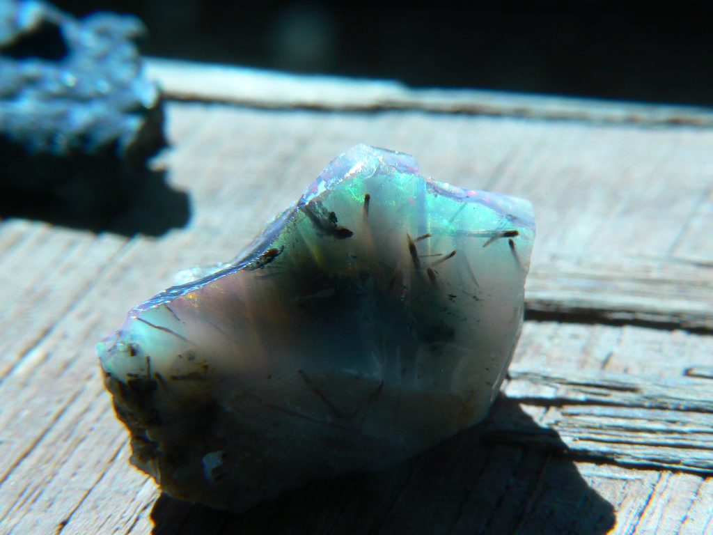 Contra Luz Virgin Valley Opal with roots preserved, Bonanza Mine.